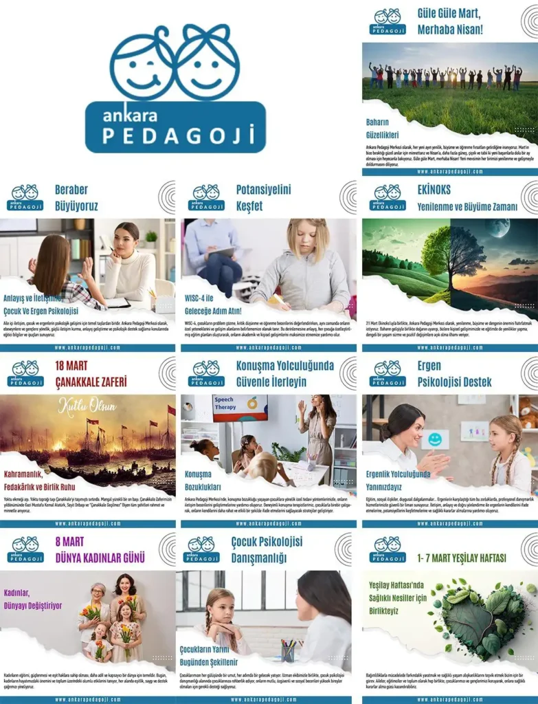 Seo Ajansı